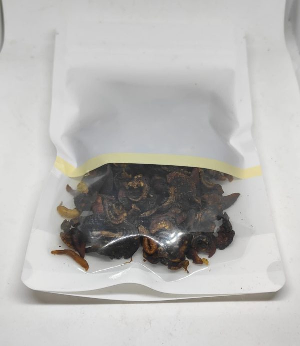 Dried small snails - Image 3