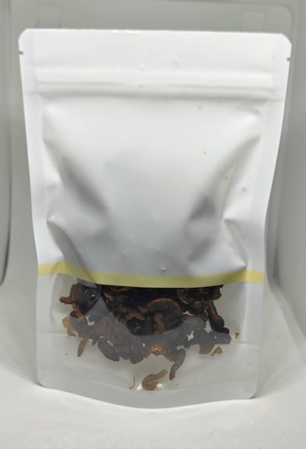 Dried small snails